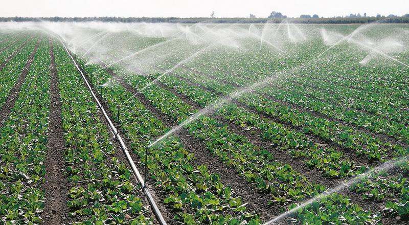 Применение воды в сельском хозяйстве